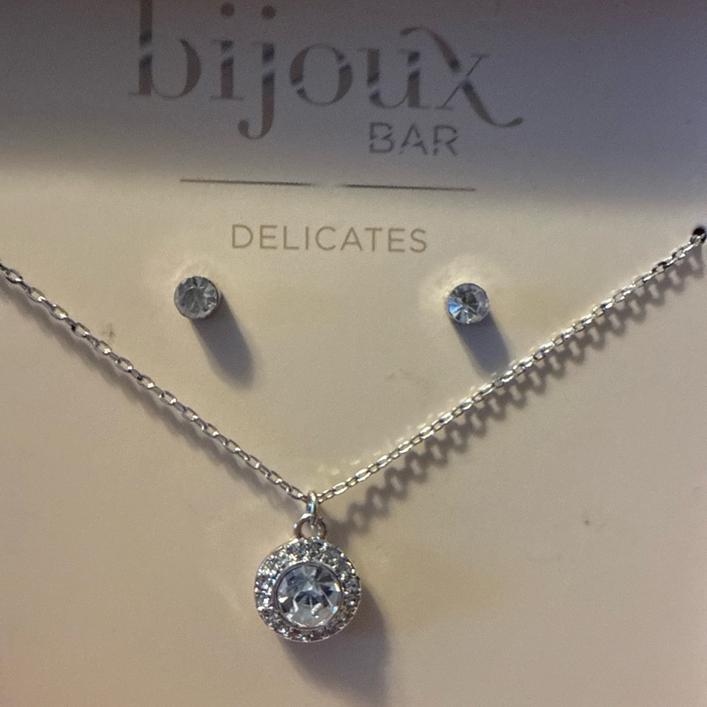 Delicates Silver Necklace and Earring Set